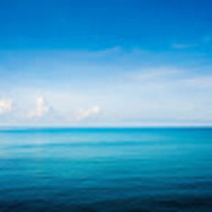 Meet your Posher, Annalise